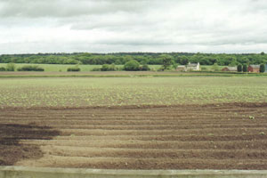 Comber (valley) of Comberbach